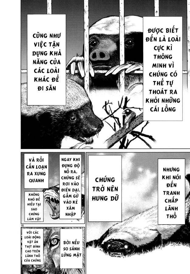 Killing Bites Chương 26 Ảnh 21