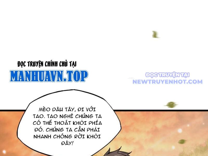 Ngự Thú: Ta Có Thế Thấy Toàn Bộ Chi Tiết Tiến Hóa Chương 4 Ảnh 45