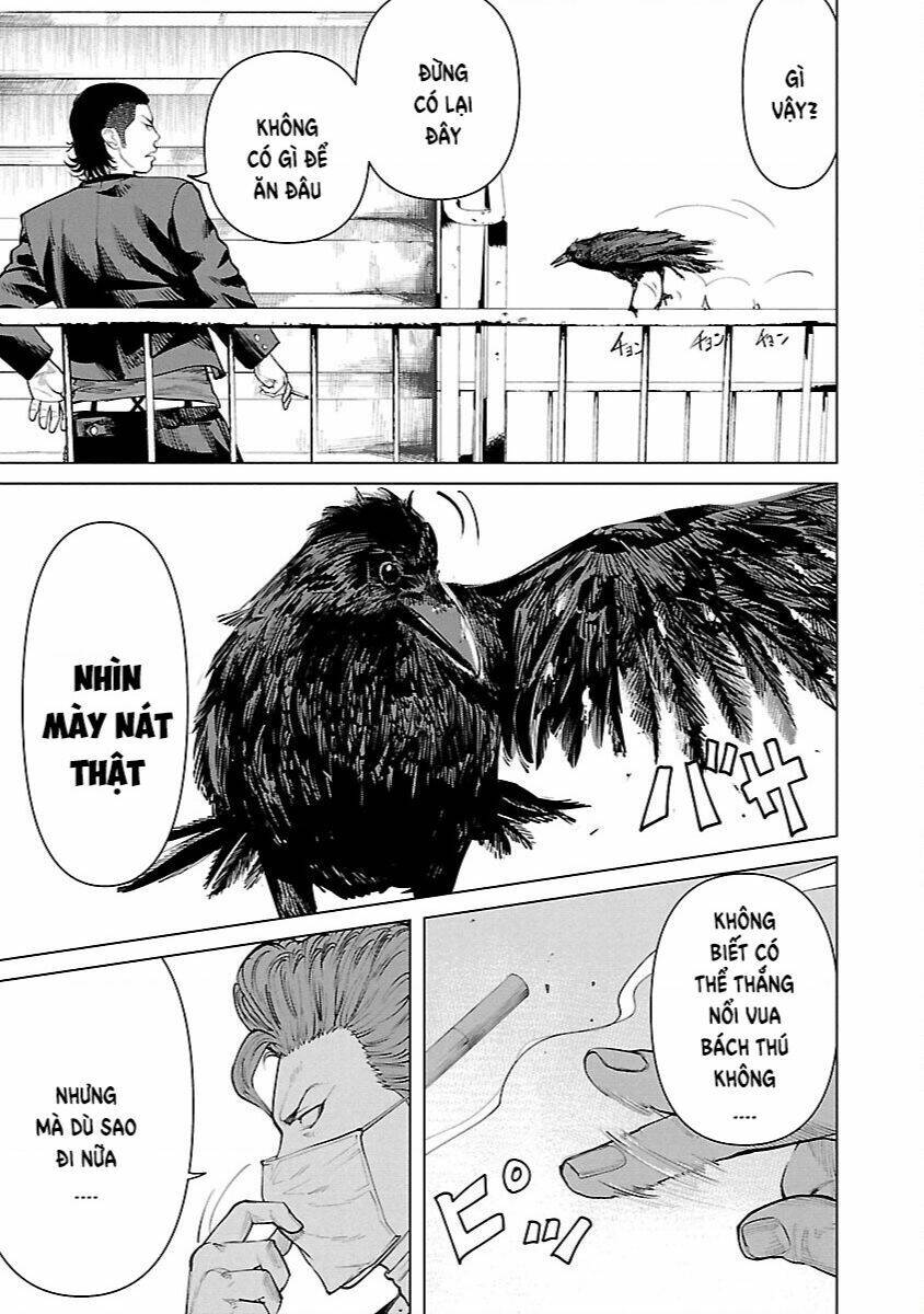 Crows Zero Reboot Chương 6 Ảnh 23