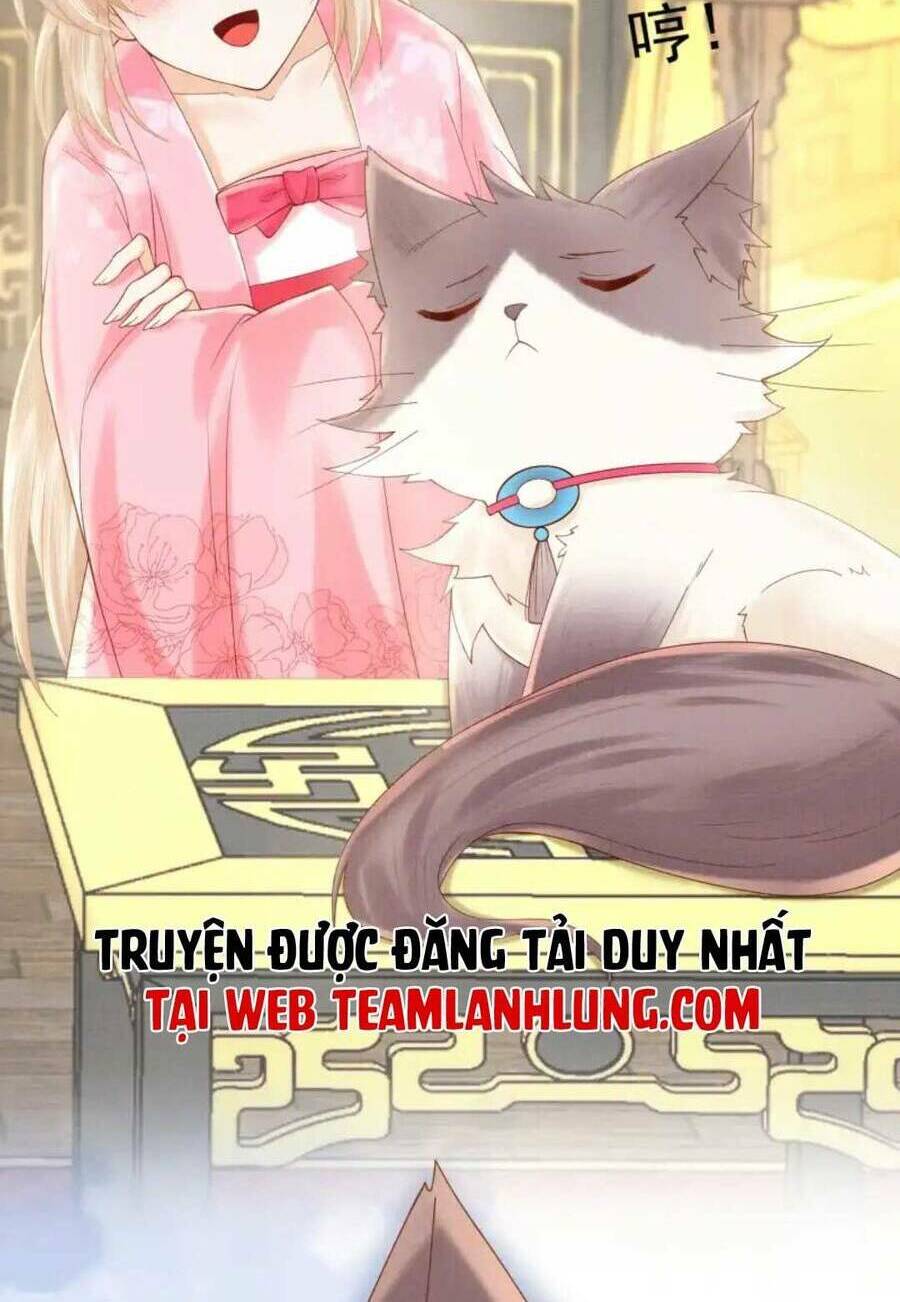 Các Đệ Tử Ai Cũng Nói Yêu Ta Chương 21 Ảnh 22