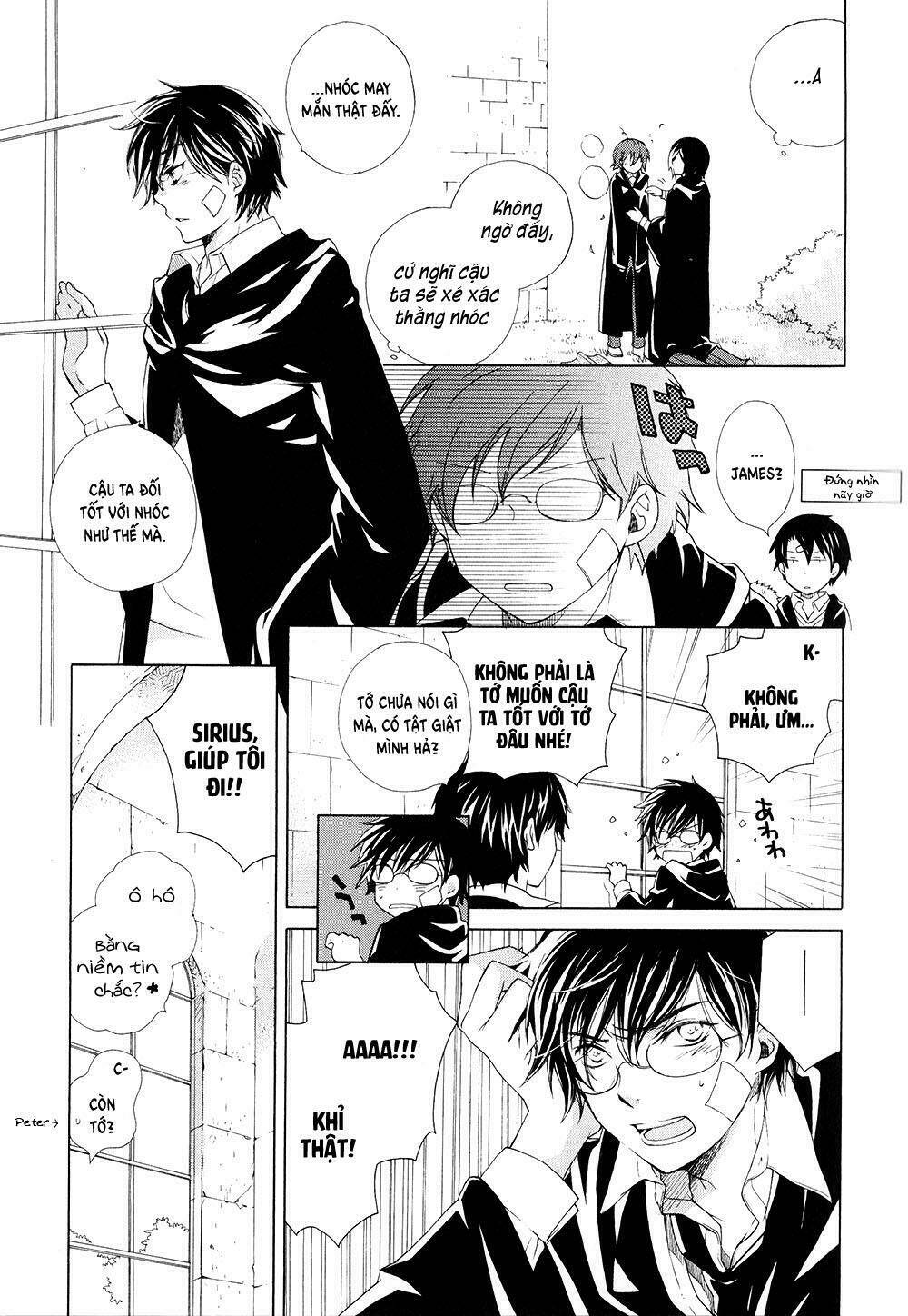 Harry Potter Doujinshi - The World 2 Chương 3 Ảnh 12