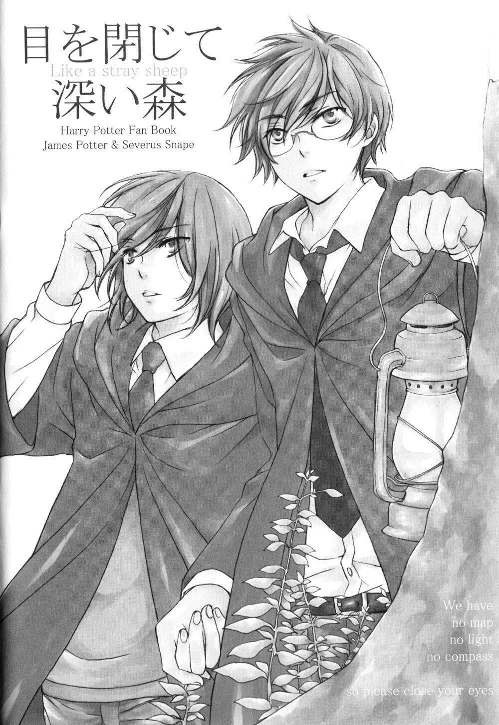 Harry Potter Doujinshi - The World 2 Chương 3 Ảnh 5