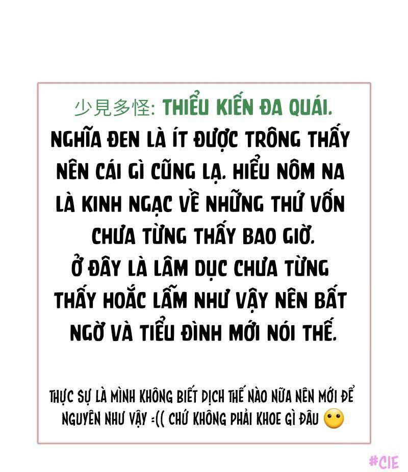 Boss Là Kim Chủ Của Tôi Chương 52 Ảnh 60