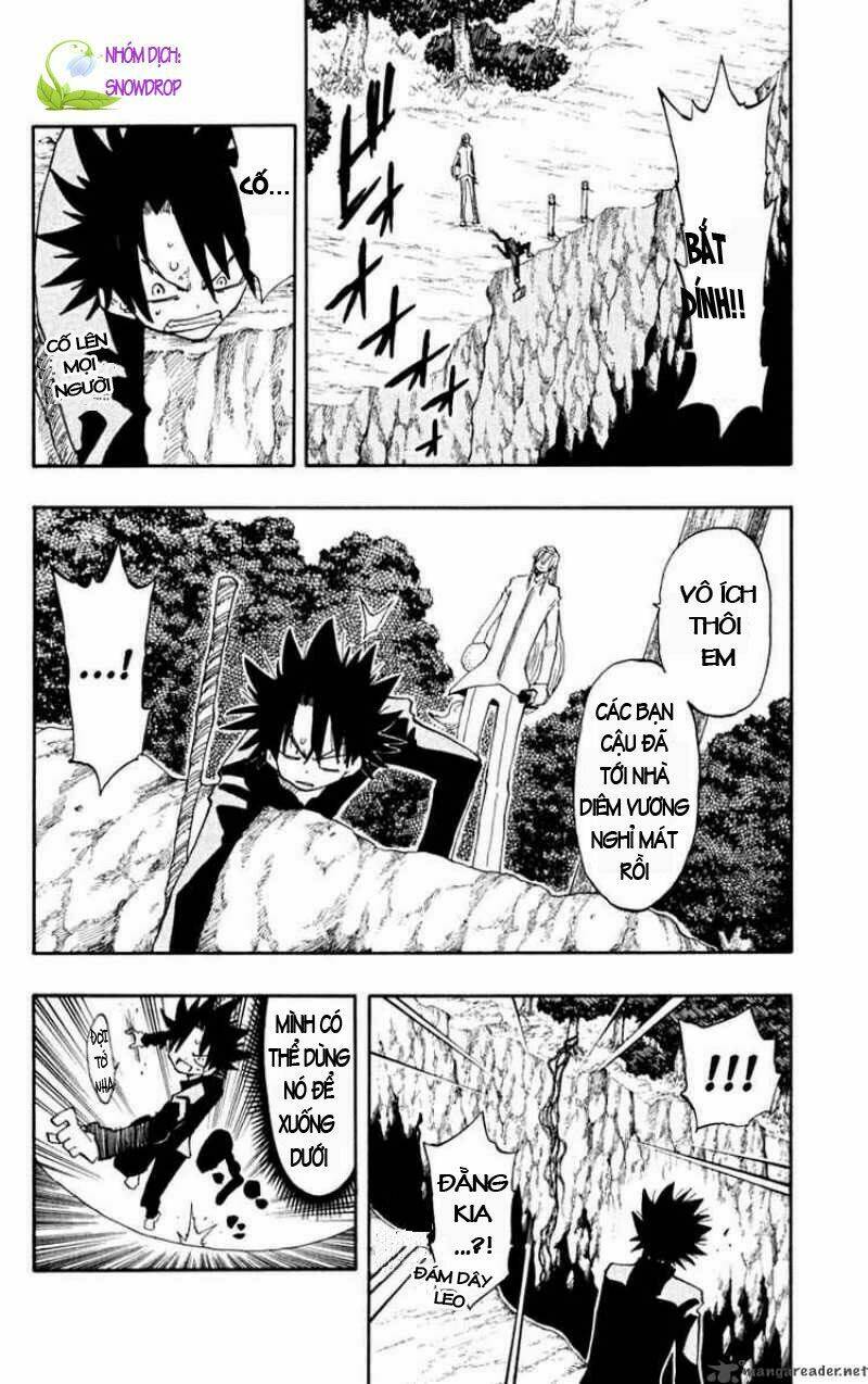 Law Of Ueki Plus Chương 21 Ảnh 4