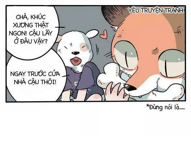 Bạn Trai Tôi Là Cáo Cam Chương 1 Ảnh 11