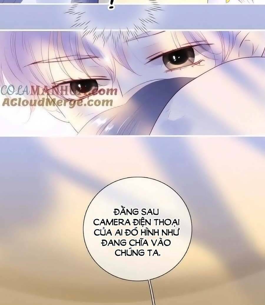 Hoa Bỏ Chạy Với Nhím Rồi Chương 96 Ảnh 11
