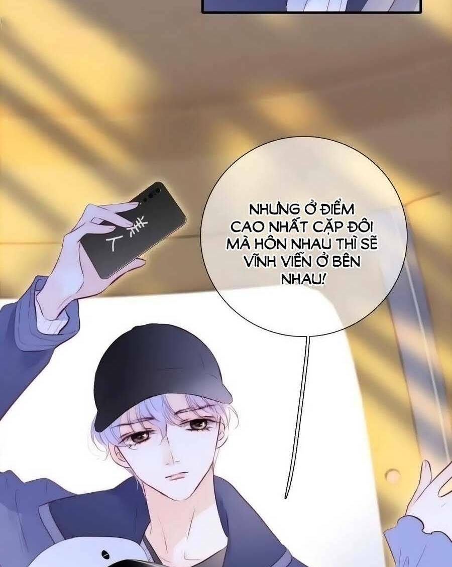 Hoa Bỏ Chạy Với Nhím Rồi Chương 95 Ảnh 55