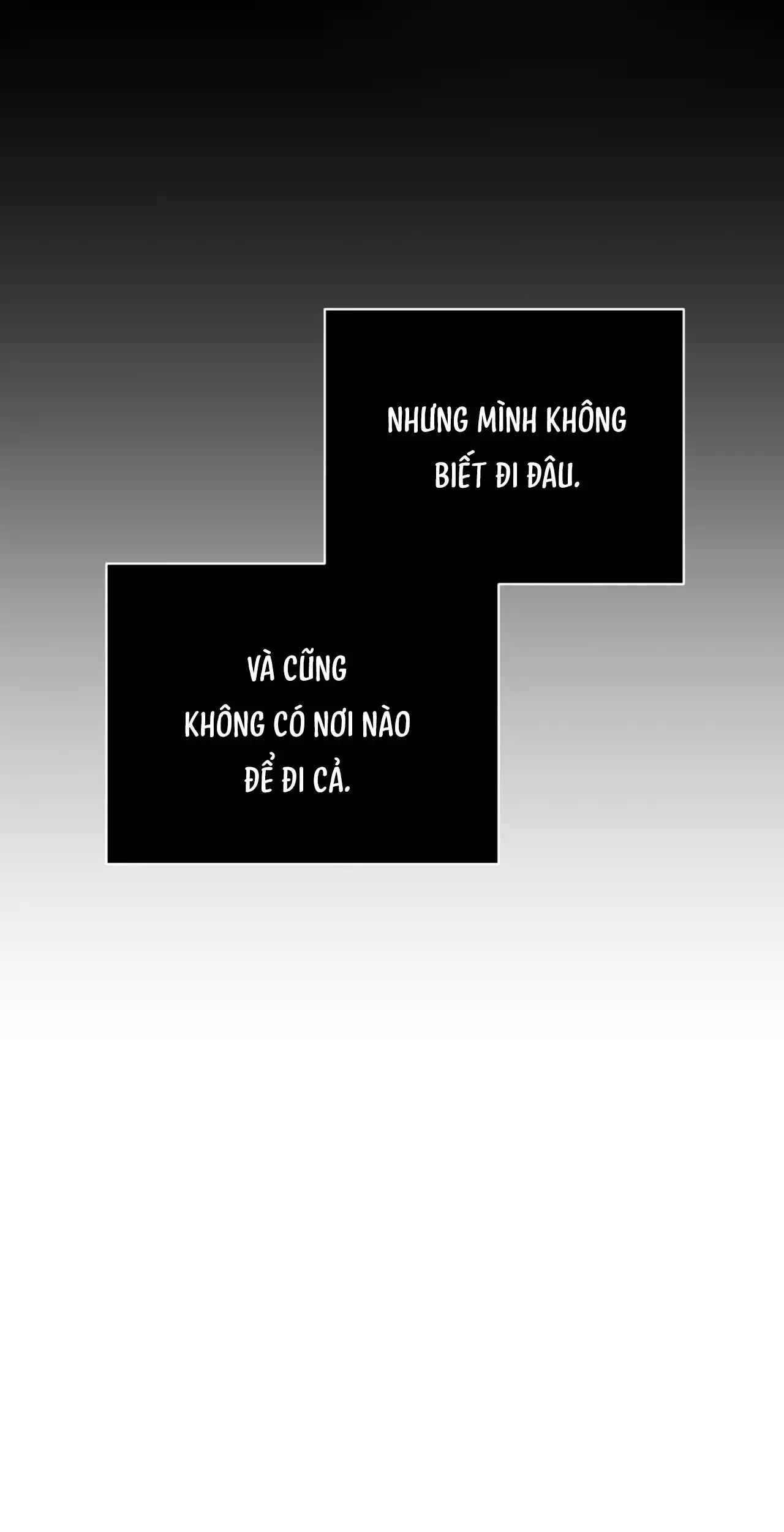 Sau Ánh Hào Quang Chương 30 Ảnh 25