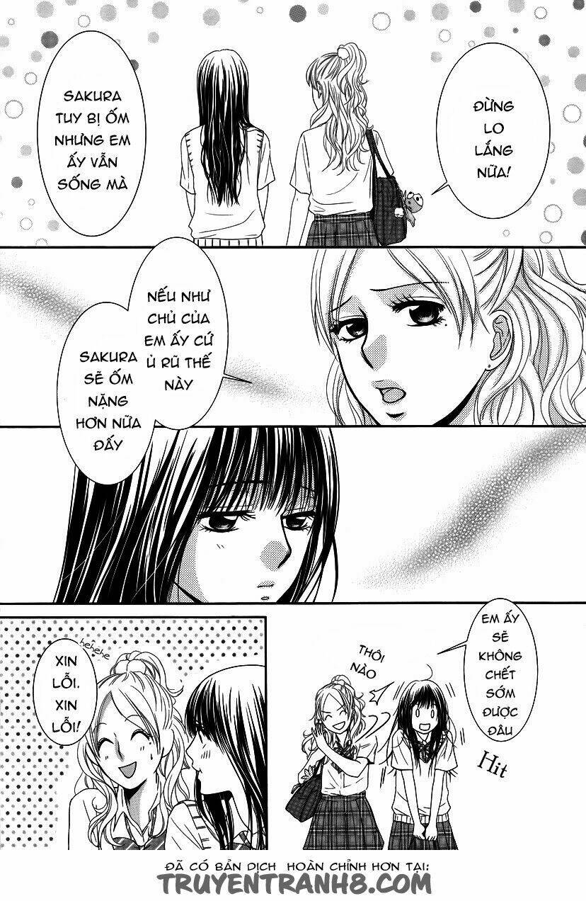 Kore Wa Koi No Hanashi Chương 35 Ảnh 11