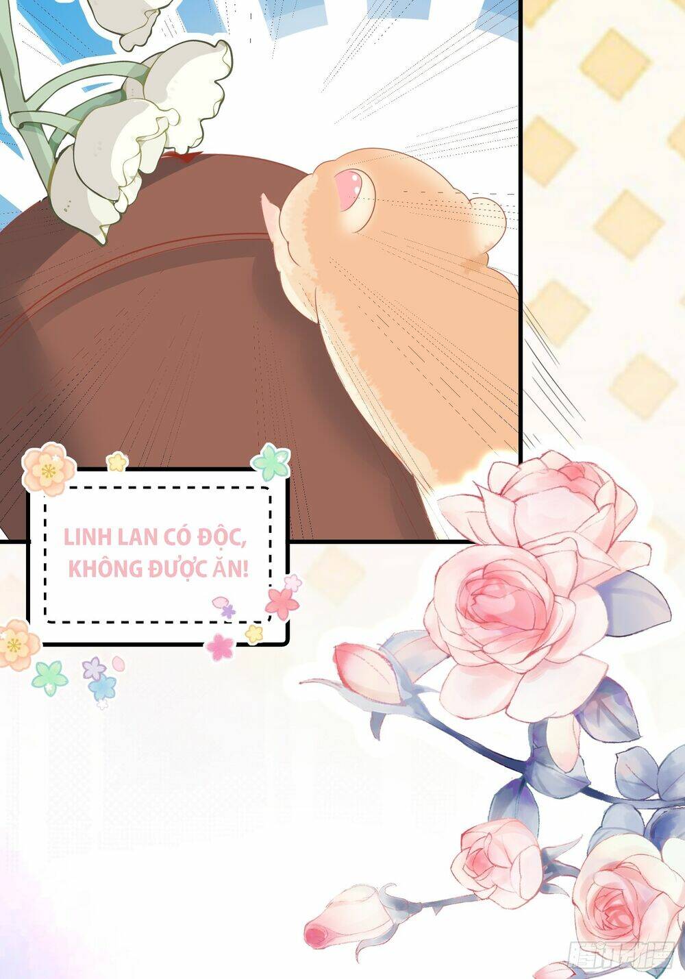 Bảo Điển Tình Yêu Của Hamster Chương 1 Ảnh 27