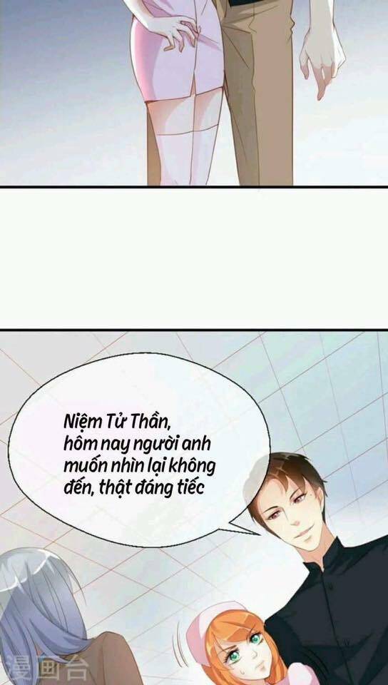 Người Vợ Bí Ẩn Của Tổng Tài Chương 15 Ảnh 20