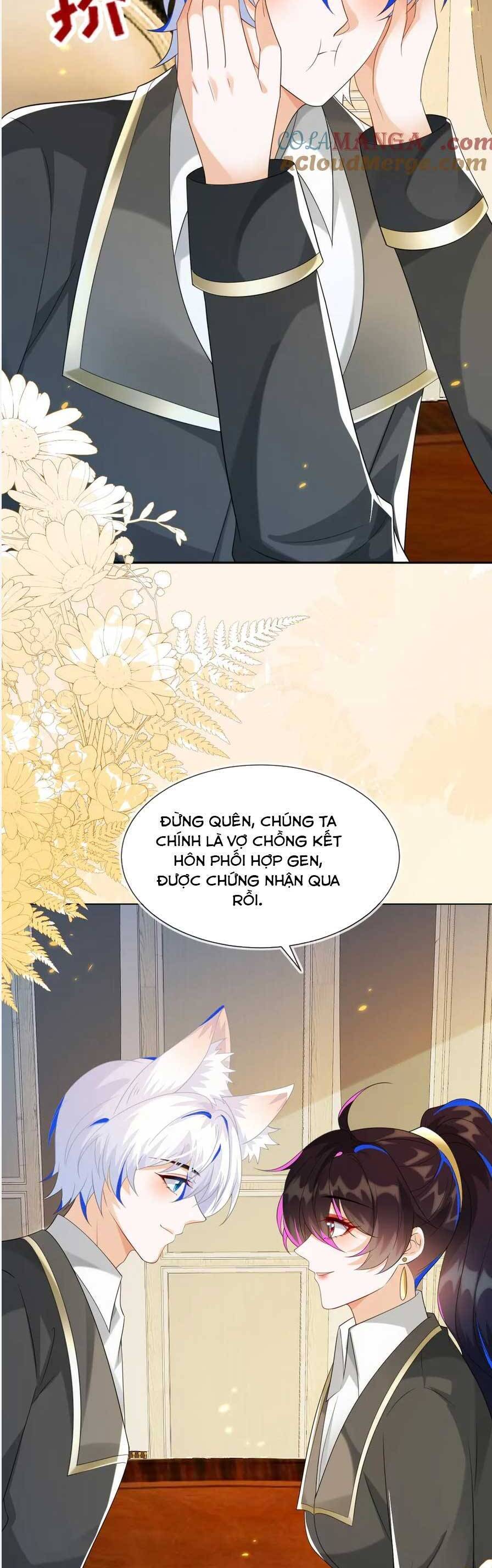 Vừa Mới Huỷ Hôn Đã Bị Dã Hồ Ly Lừa Kết Hôn Chương 51 Ảnh 12