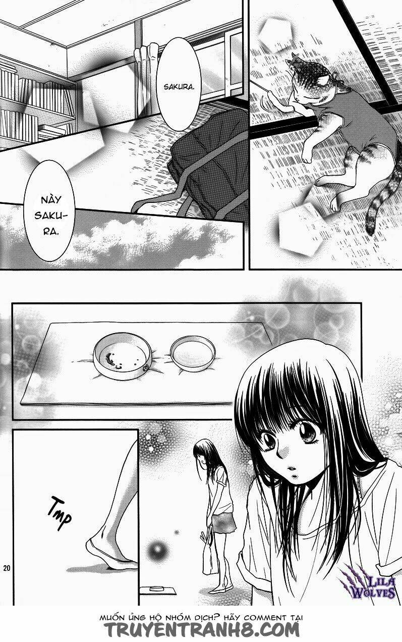 Kore Wa Koi No Hanashi Chương 36 Ảnh 25