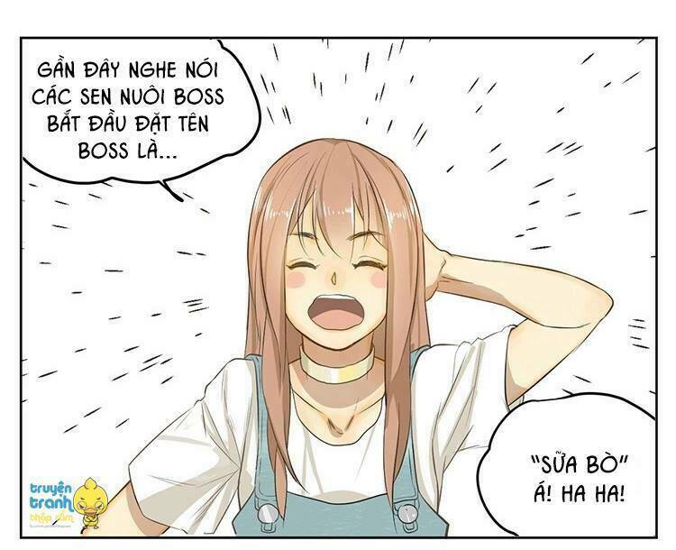 Cứu Mạng ! Loài Mèo Thống Trị Thế Giới Rồi ! Chương 20 Ảnh 28