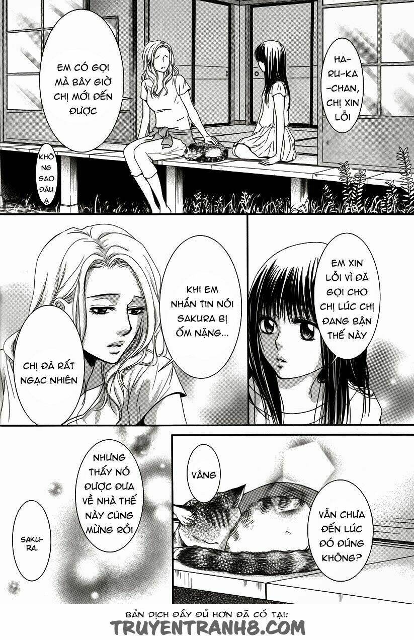 Kore Wa Koi No Hanashi Chương 35 Ảnh 15