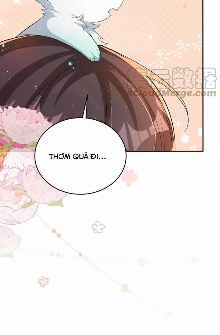 Chuyển Sinh: Thần Y Quận Chúa Khuynh Thiên Hạ Chương 33 Ảnh 24