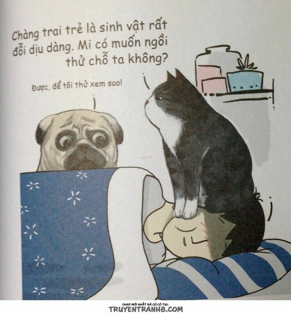 Cuộc Sống Thượng Lưu Của Hoàng Đế Mèo Chương 9 Ảnh 7