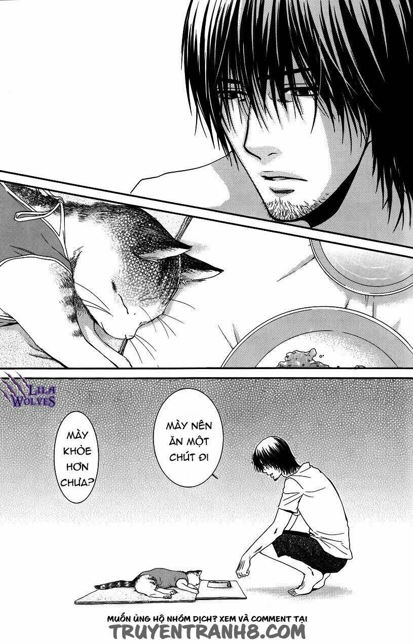 Kore Wa Koi No Hanashi Chương 35 Ảnh 6