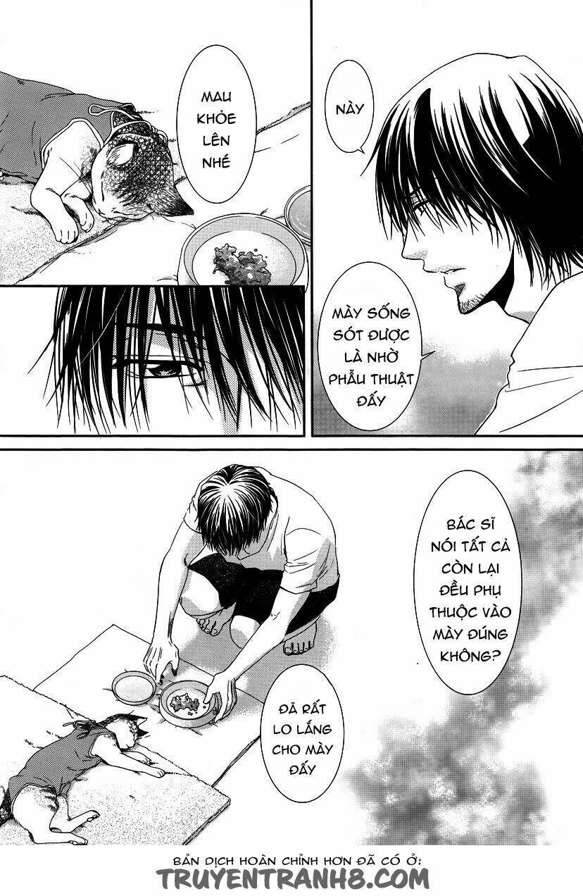 Kore Wa Koi No Hanashi Chương 35 Ảnh 7
