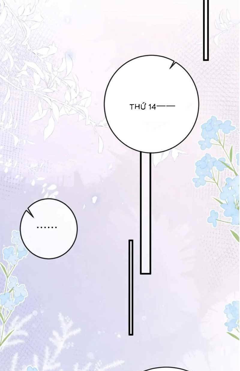 Nữ Cố Vấn Quyền Lực Trong Showbiz Chương 18 Ảnh 14