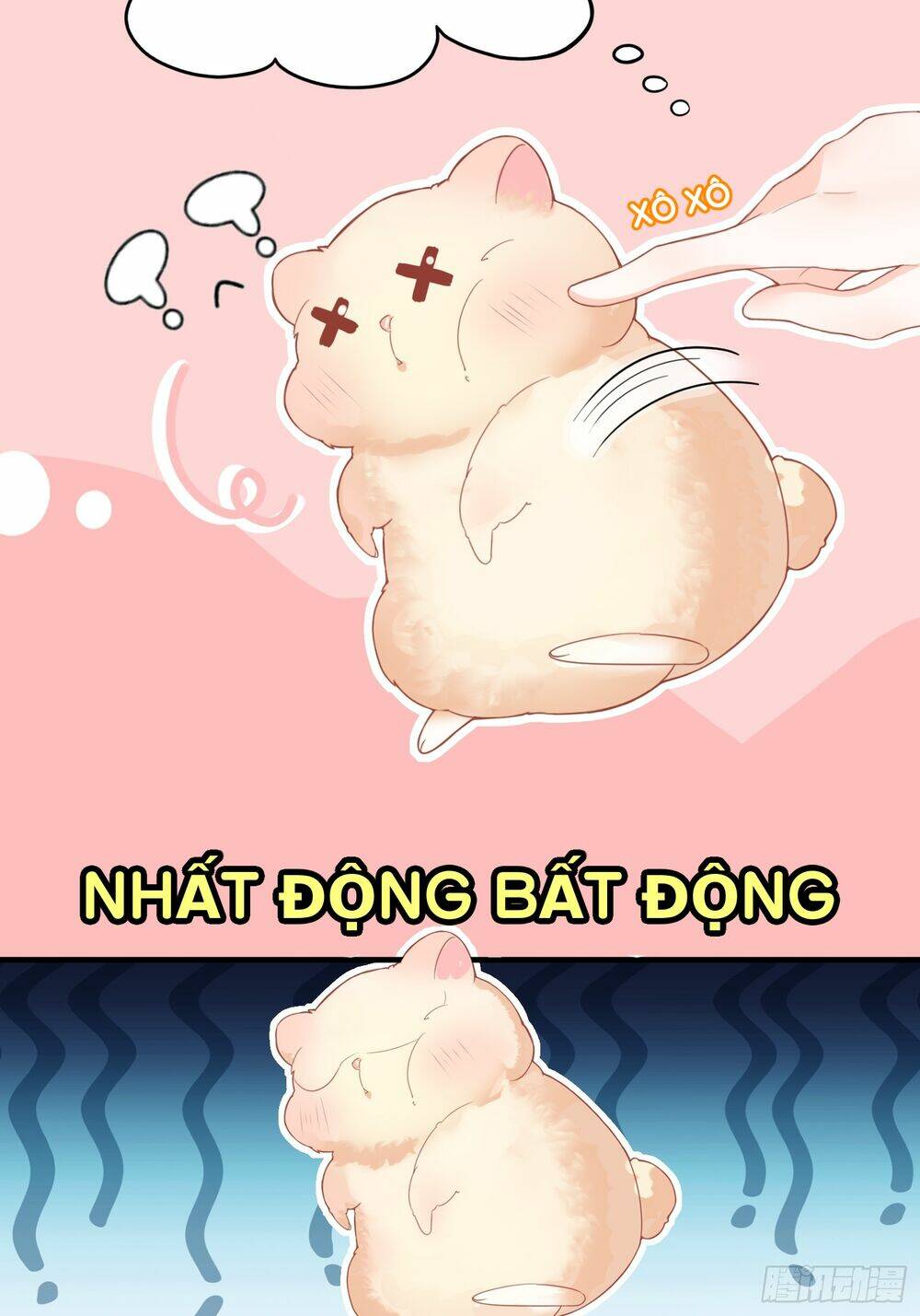 Bảo Điển Tình Yêu Của Hamster Chương 1 Ảnh 15