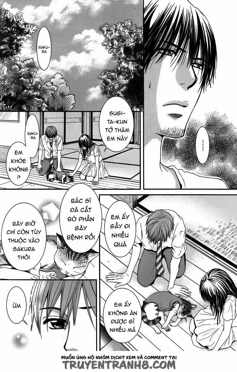 Kore Wa Koi No Hanashi Chương 35 Ảnh 23