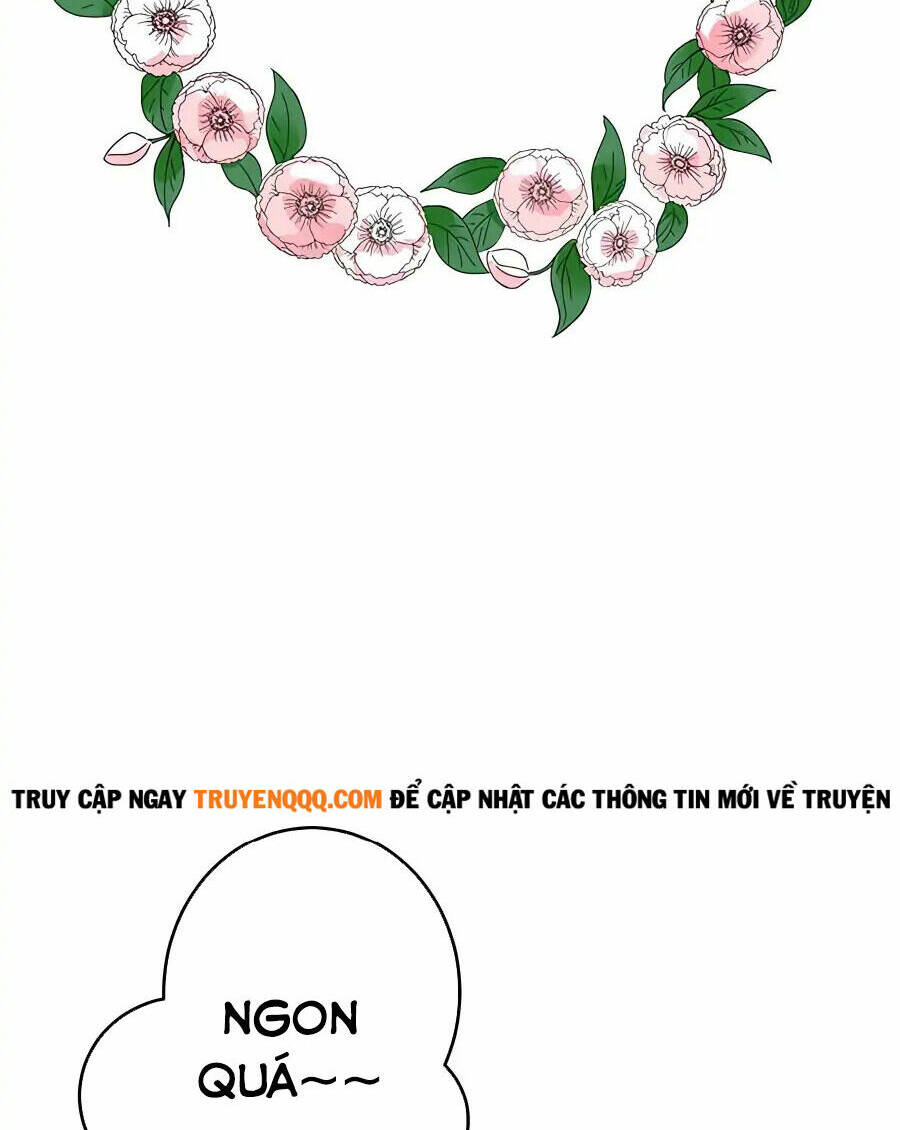 Dù Tôi Trở Thành Nhân Vật Phụ, Tôi Được Yêu Chiều Bởi Công Tước Thích Bảo Vệ Quá Mức Chương 3 Ảnh 63
