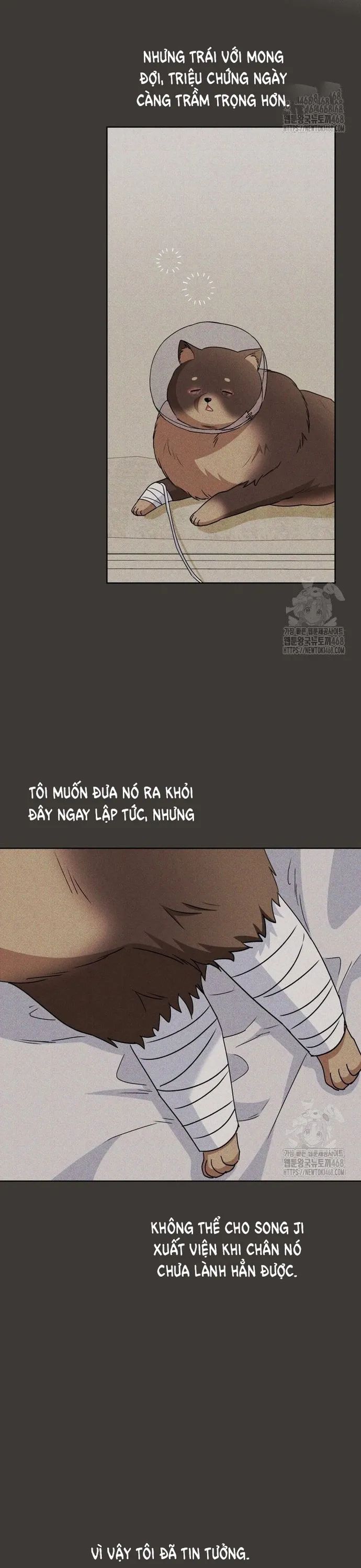 Xin Chào! Bác Sĩ Thú Y Chương 87 Ảnh 17