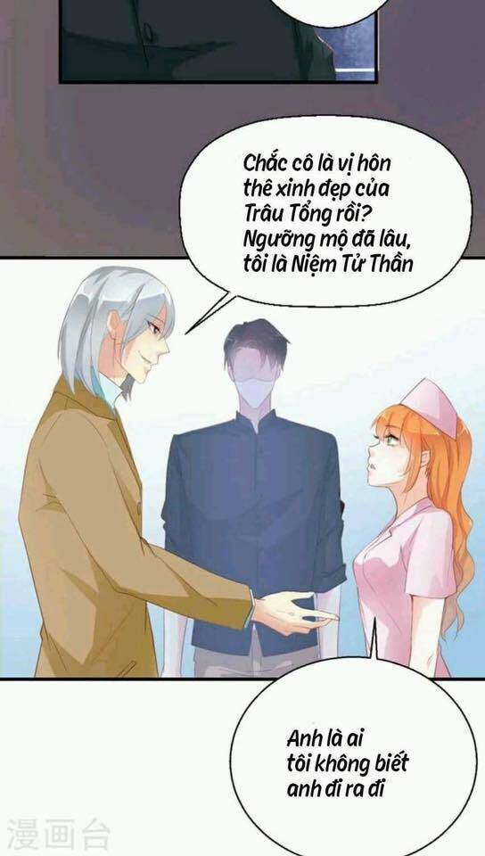 Người Vợ Bí Ẩn Của Tổng Tài Chương 15 Ảnh 7