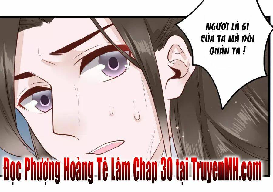 Phượng Hoàng Tê Lâm Chương 29 Ảnh 19
