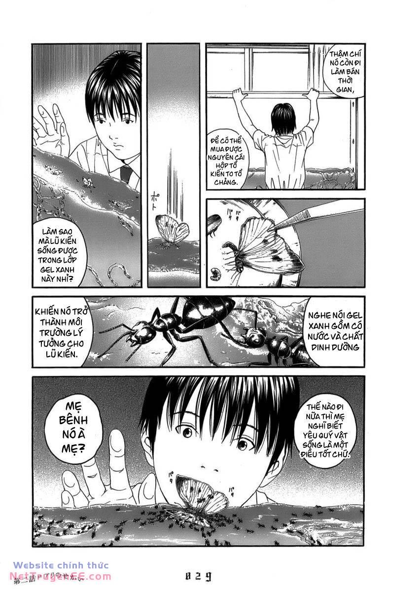 Thiếu Niên Thiếu Nữ Phiêu Lưu Ký Chương 2 Ảnh 6