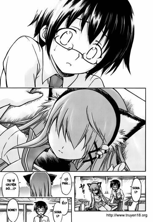 Gou-Dere Bishoujo Nagihara Sora Chương 7 Ảnh 14