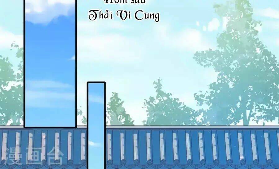Khuynh Thế Y Phi Muốn Bỏ Chồng Chương 117 Ảnh 25