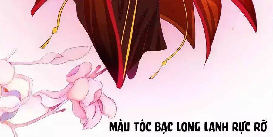 Sủng Thê Cuồng Ma Của Minh Vương Điện Hạ Chương 3 Ảnh 6