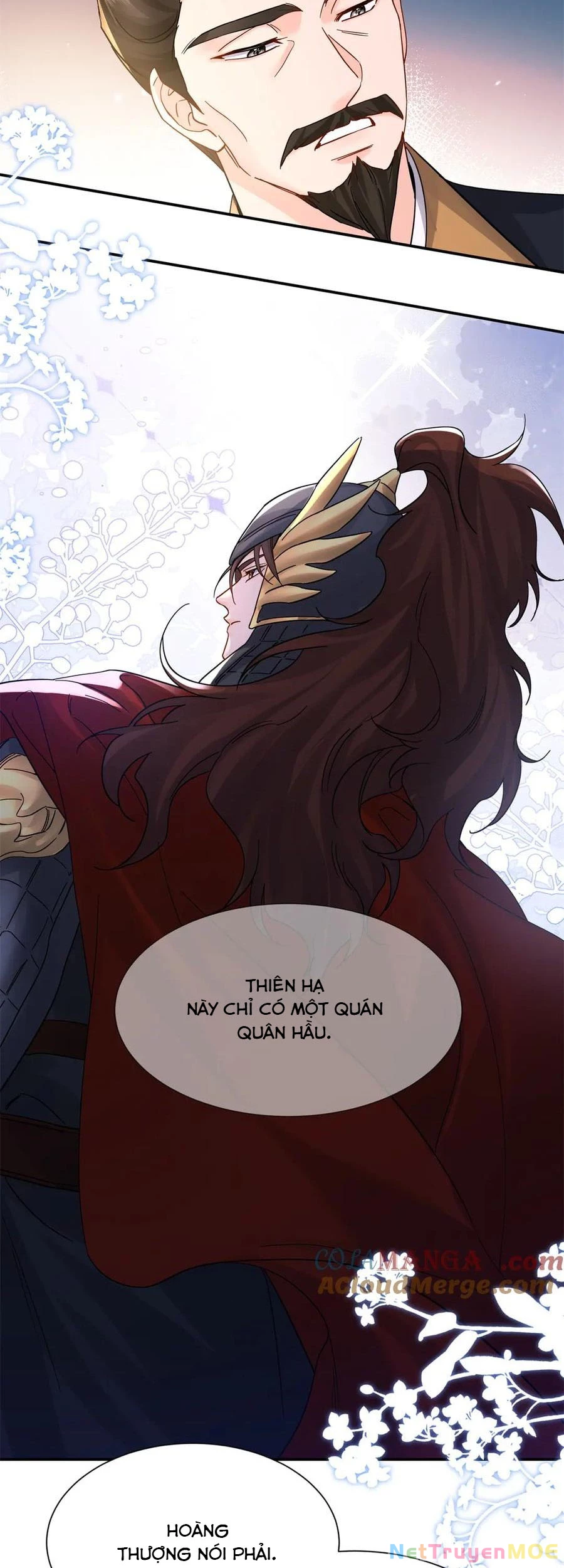 Thiều Quang Mạn Chương 174 Ảnh 4