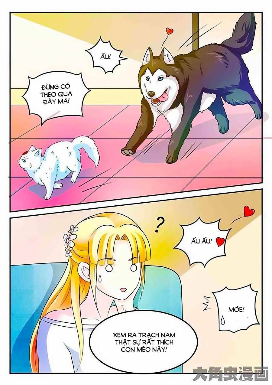 Mau Lấy Con Mèo Đó Ra Chương 3 Ảnh 5