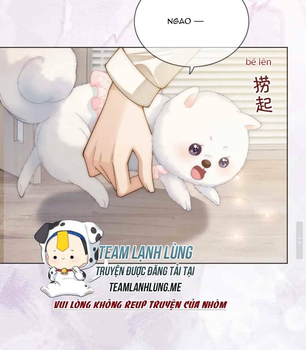 Sau Khi Bị Cướp Đi Tất Cả, Cô Ấy Phong Thần Trở Về Chương 32 Ảnh 37
