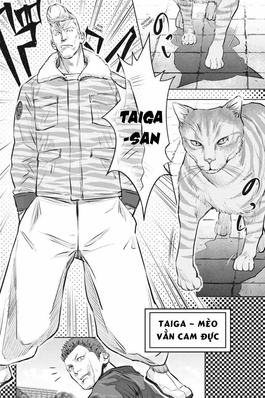 Nyankees Chương 1 Ảnh 30