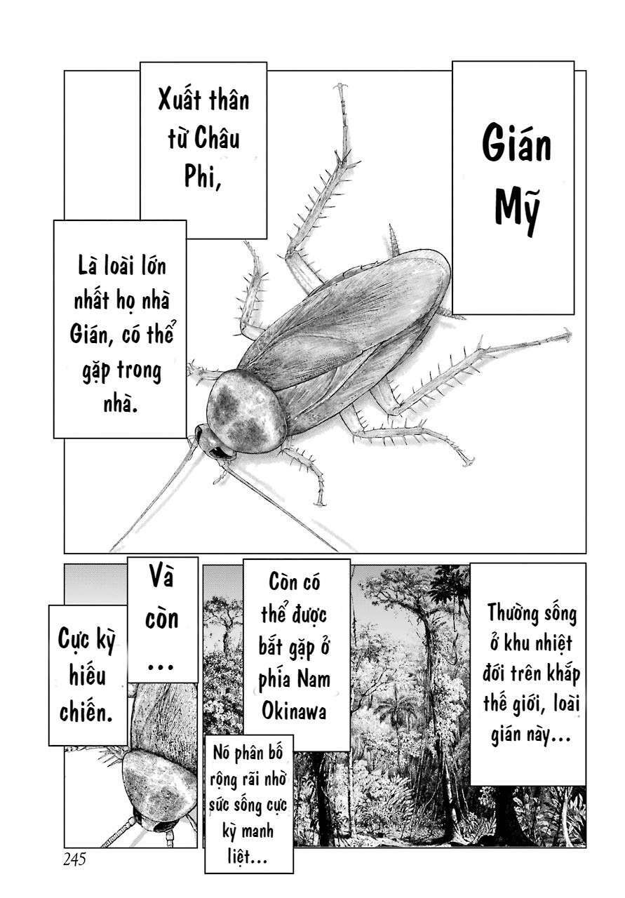 Blattodea Chương 2 Ảnh 16