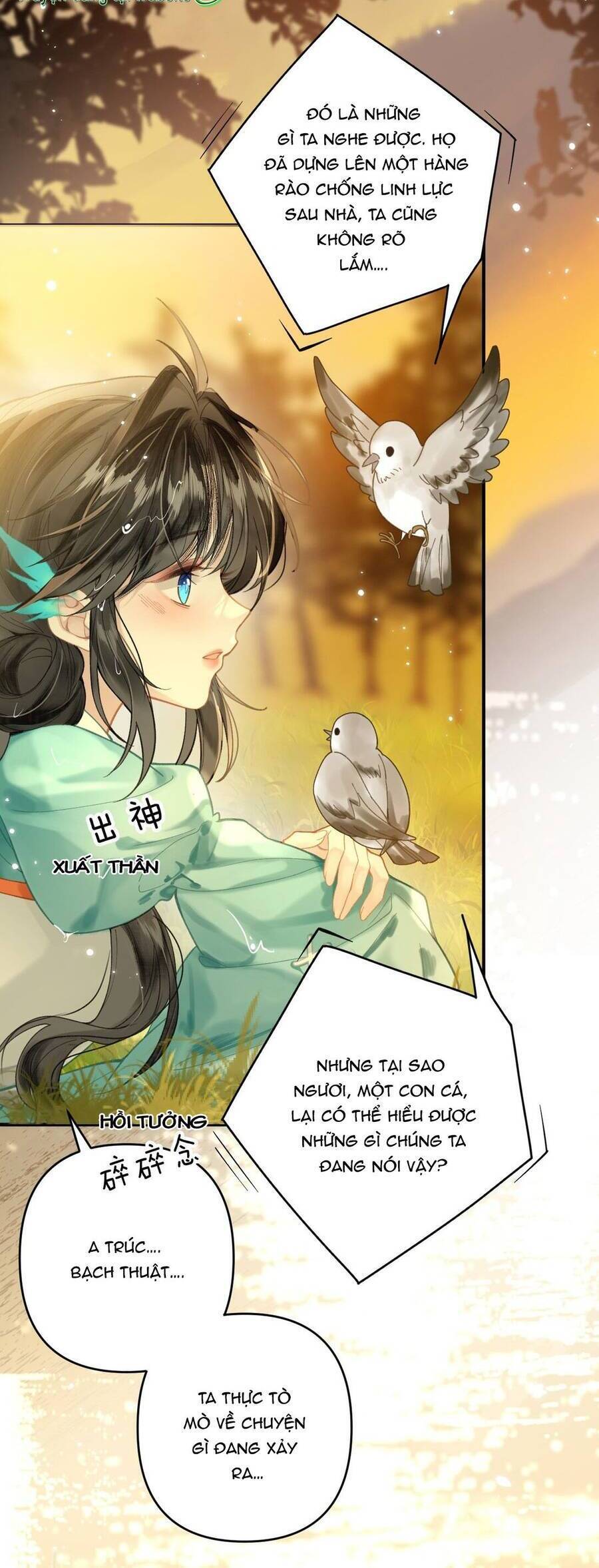 Đến Đông Hải Tìm Mỹ Nhân Chương 12 Ảnh 19