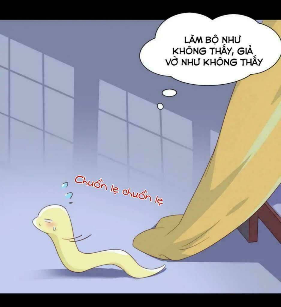 Phi Thiên Địch Tự Dưỡng Đích Khẩu Tử Chương 43 Ảnh 12