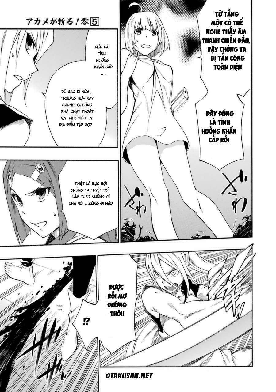 Akame Ga Kill! Zero Chương 30 Ảnh 25