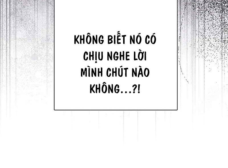 Những Ranker Cấp S Mà Tôi Nuôi Dưỡng Chương 145 Ảnh 27