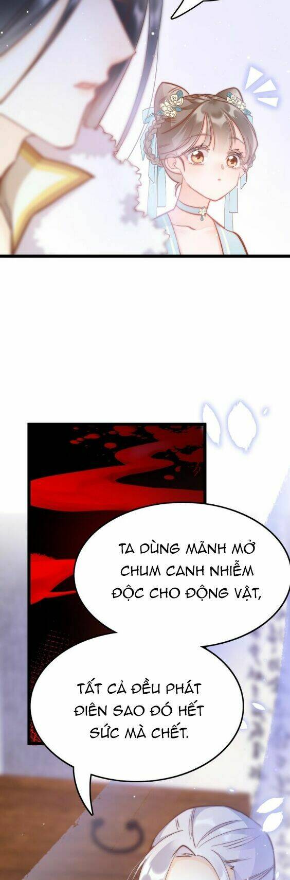 Cánh Diều Xanh Bay Trong Cơn Gió Chương 13 Ảnh 11