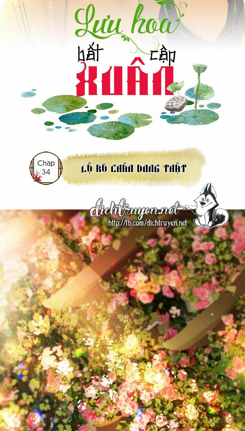 Lưu Hoa Bất Cập Xuân Chương 34 Ảnh 3