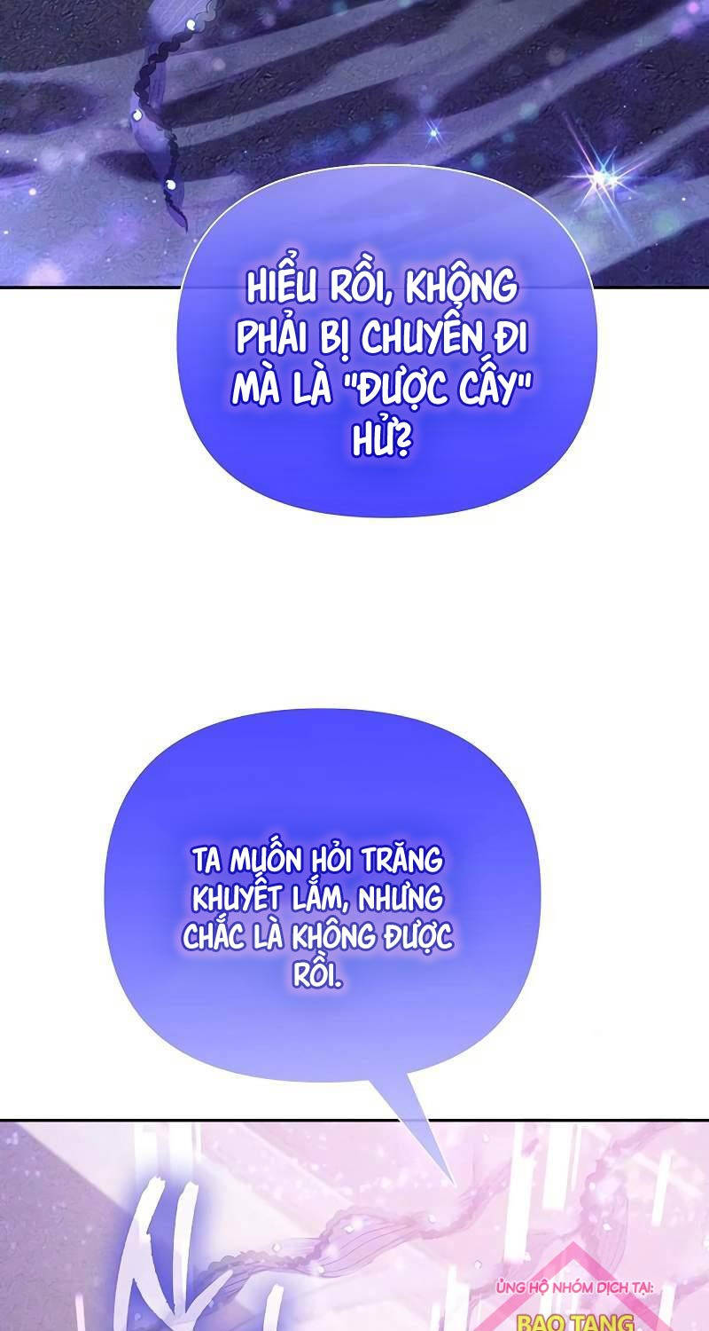 Những Ranker Cấp S Mà Tôi Nuôi Dưỡng Chương 144 Ảnh 38