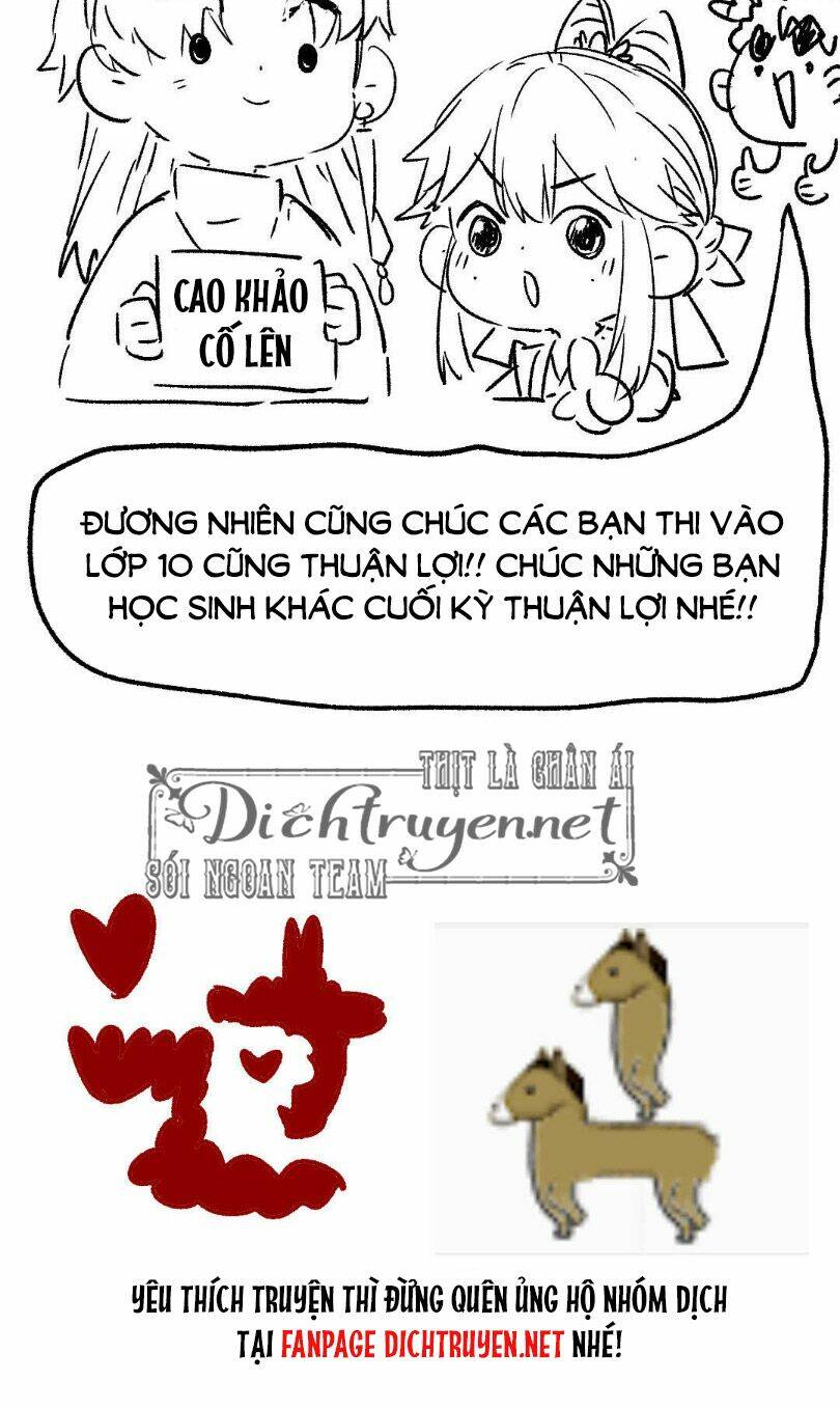 Lưu Hoa Bất Cập Xuân Chương 39 Ảnh 41