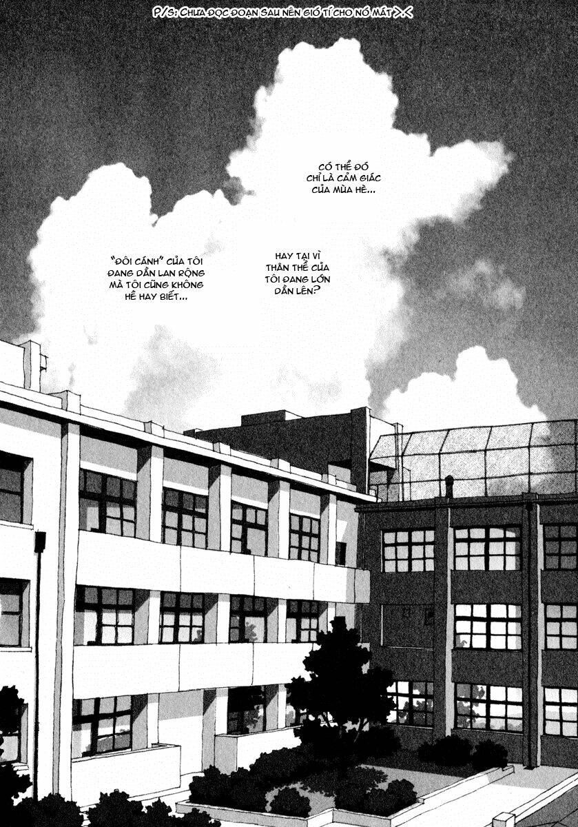 Boku No Futatsu No Tsubasa Chương 11 Ảnh 5