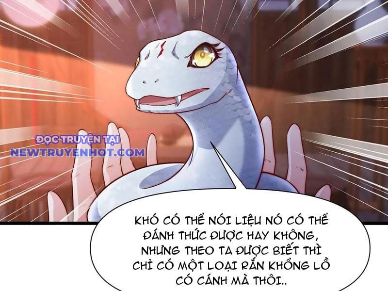 Đạo Hữu, Kịch Bản Của Ngươi Thật Dễ Nhìn! Chương 102 Ảnh 48
