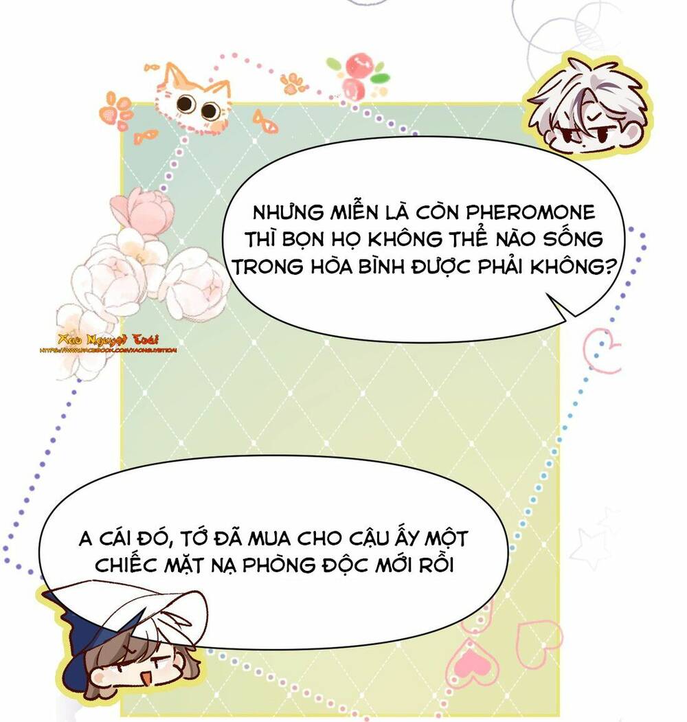 Mười Năm Sau, Tôi Kết Hôn Với Kẻ Không Đội Trời Chung Của Mình?! Chương 42 Ảnh 33
